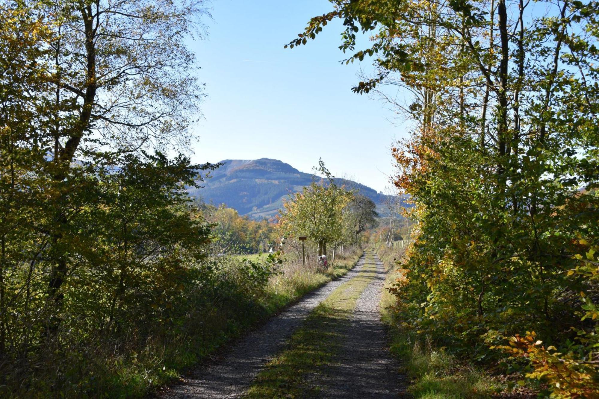 Panoramablick *
